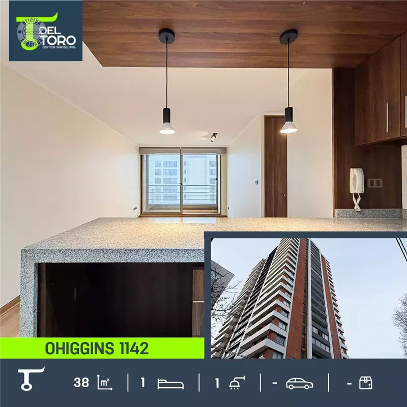 Departamento en arriendo de 1 dorm. en centro de Concepción
